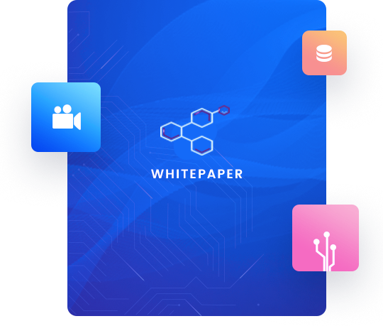 White Paper