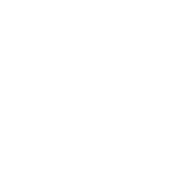 BitCoinTalk
